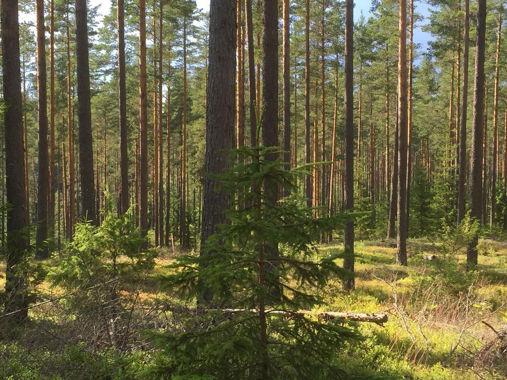 Vintergatans Rum Insjön Екстериор снимка